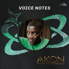 Voice Notes: Akon on "Don't Matter"