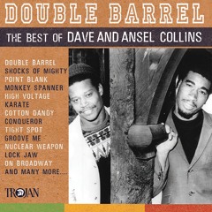 Double Barrel
