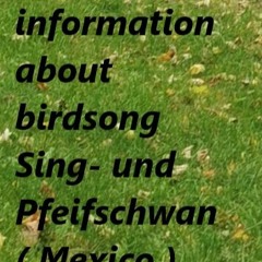 Podcast 935 @ Exciting Information About Birdsong Sing- Und Pfeifschwan ( Mexico ) 21 01 2022