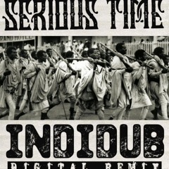 SERIOUS TIME- Fikir Amlak & King Alpha - INDIDUB Digital Remix
