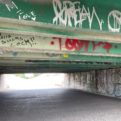 I AINT RUNNING FROM SHIT!