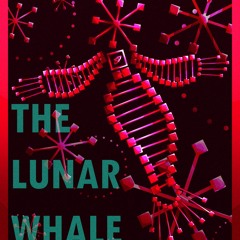 Danimal Cannon & Zef - The Lunar Whale