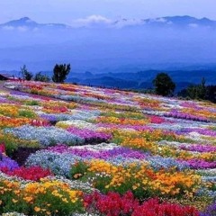 Mesmerizing Ride >>>> -JazzFusion - SmoothJazz - Ambient -