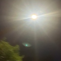 Z-Bloodonmyjeans ft.3