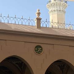 وارث فاطِمة ،  وفاة الأمام الحسن || سيد هاني الوداعي