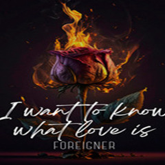 ScaFra - I Want To Know What Love Is  Remix