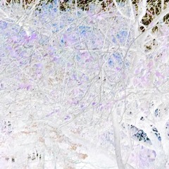 @jeremivhx - .𖥔 ݁ ˖ vampiric seduction ♡.𖥔 ݁ ˖ (prod. shadowpeople)