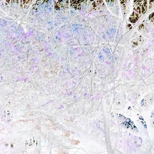 @jeremivhx - .𖥔 ݁ ˖ vampiric seduction ♡.𖥔 ݁ ˖ (prod. shadowpeople)