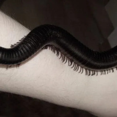 why'd you throw it away