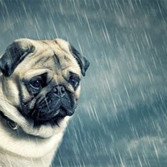 Tom Waits - Rain Dogs Virtual Jam Cover