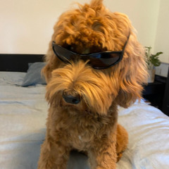 Stenz Sessions Vol. 01