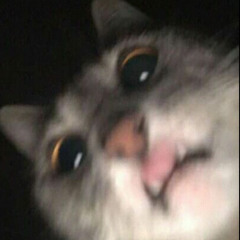 Like That - Doja Cat ft. Gucci Mane. COVER.