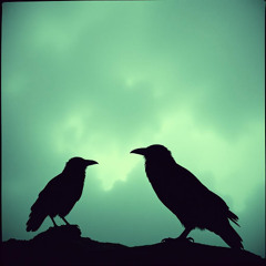 The Ravens Call my Name