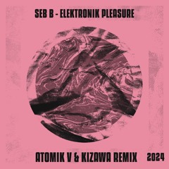 Seb B - Electronik Pleasure [Atomik V & Kizawa Remix]