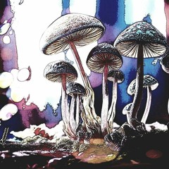 Más Rum Inocybe aeruginascens Dr Boor live act (sensiTV records) music from the attic