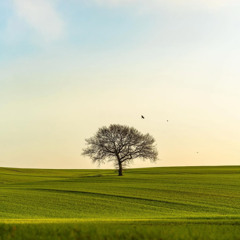 [두루마리를 먹고 들이받아라]겔3:1-15