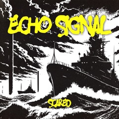 Echo Signal