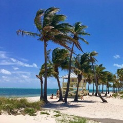 Venice Beach - JBalvin X Migos Type Beat