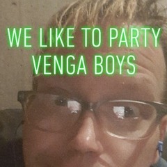 Cover of  We LIKE To Party by Venga Boys .mp3