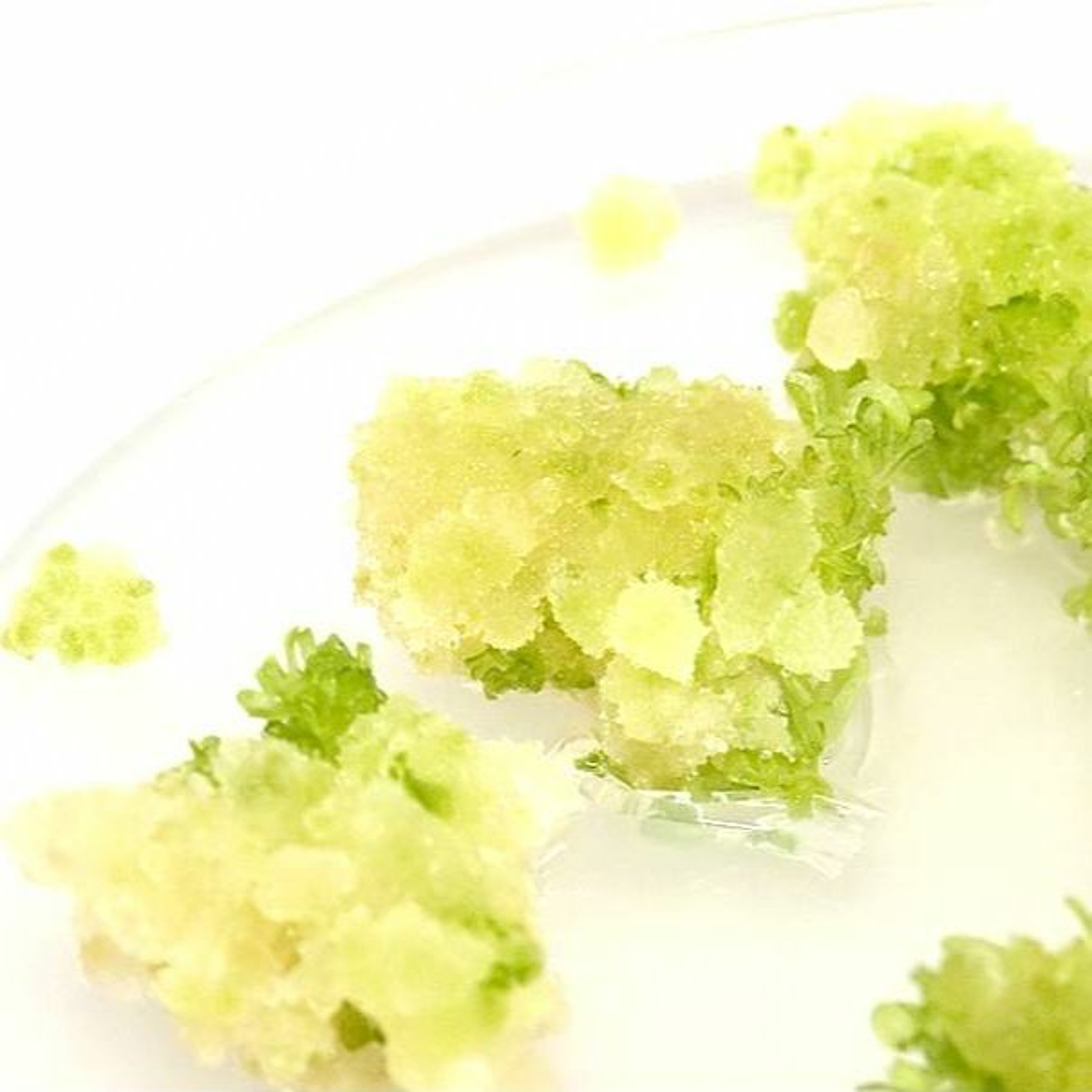 大江學院 TCI Academy