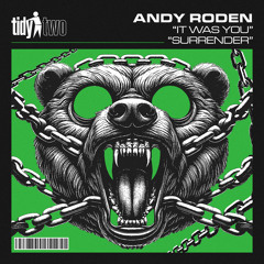 Andy Roden - It Was You