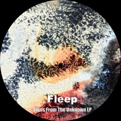 Fleep - Gel De Sonido (original Mix)wav
