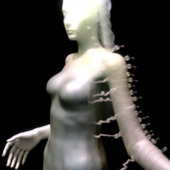 no copy-paste ( 6astardcanrise)