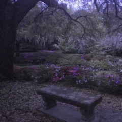 look at what you did