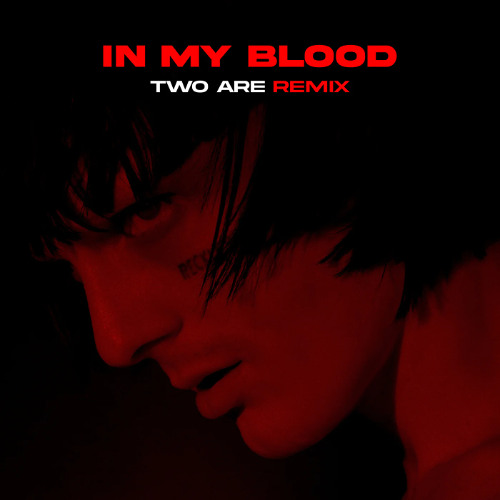 Aime Simone - In My Blood (Two Are Remix)