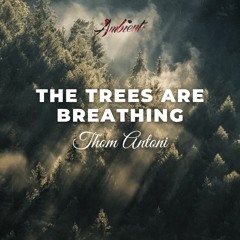 Thom Antoni - The Trees Are Breathing