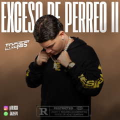 EXCESO DE PERREO II