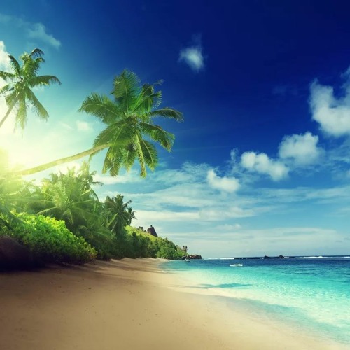 Appeler background pattern FREE DOWNLOAD
