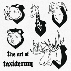 taxidermy