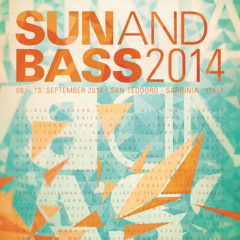 Alite Good Looking Records vinyl set @ Sun and Bass 2014