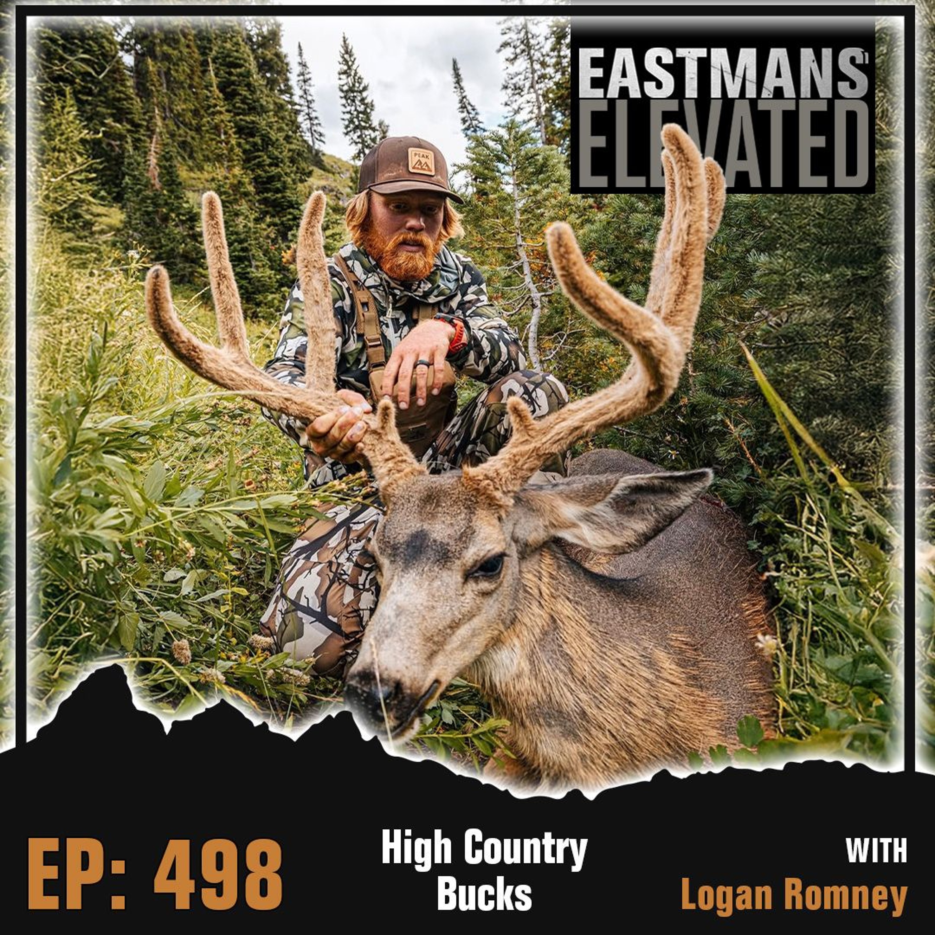 Eastmans\' Elevated