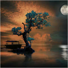 Activación Kundalini Despertar de la Diosa | Energía Sagrada Femenina