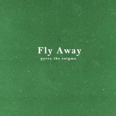 Fly Away (Prod. By Negrosaki)