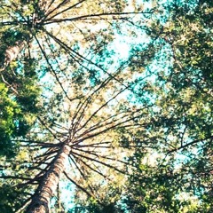 JS45 Prod. by ew-mark