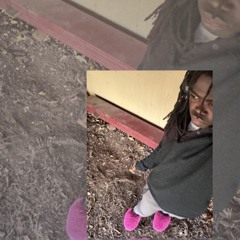 november exhibition hall 2025