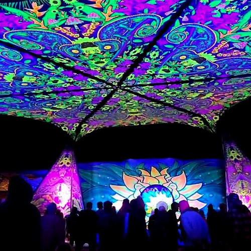Earthdance Garden Route 2024