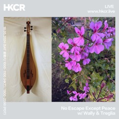 No Escape Except Peace w/  Wally & Treglia - 18/05/2024