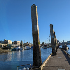 unnatural life 03 - Olympia Boardwalk