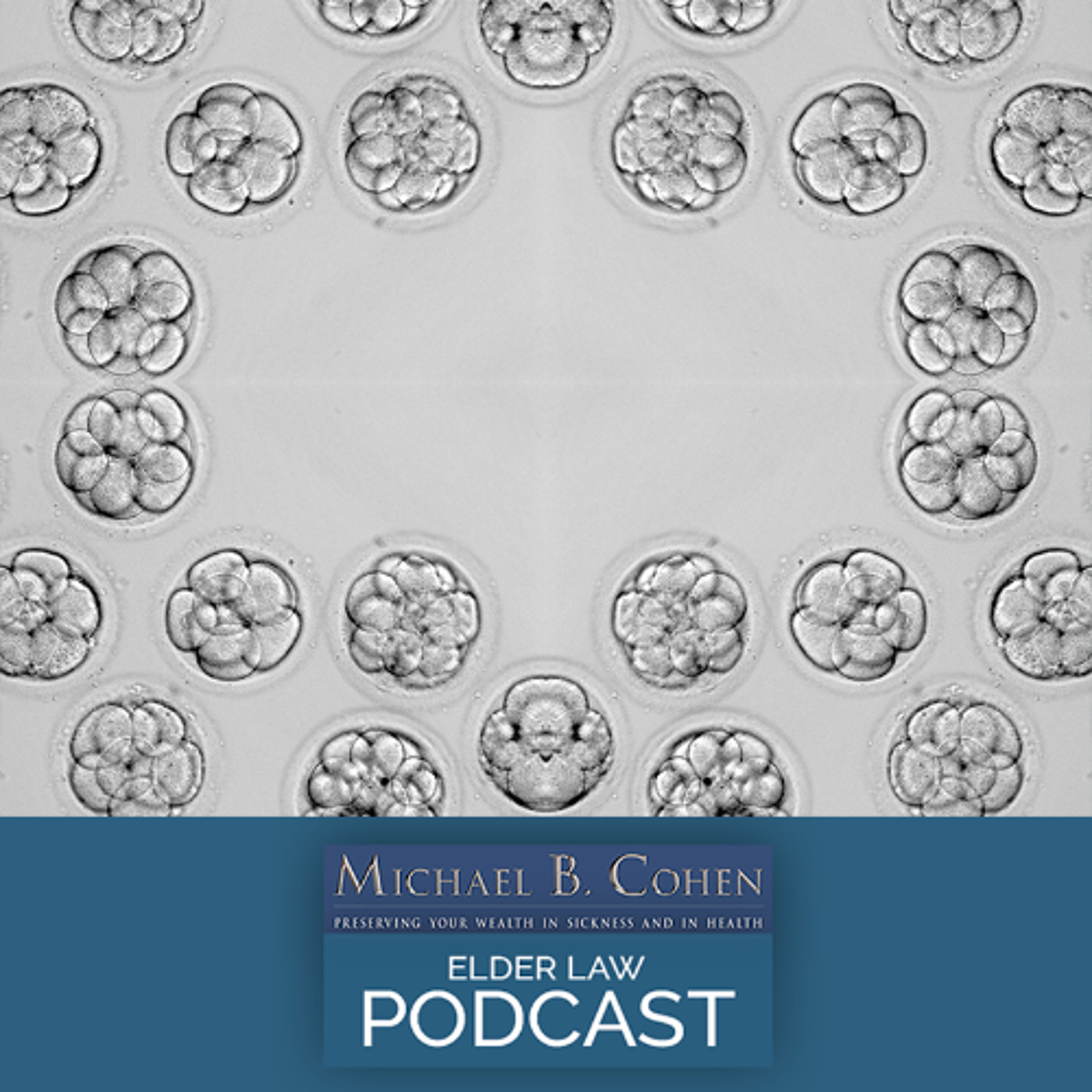 Judge Rules Human Embryos Are Not Frozen Assets - The Price of Eggs Keeps Going Up | 05-13-25 episode artwork