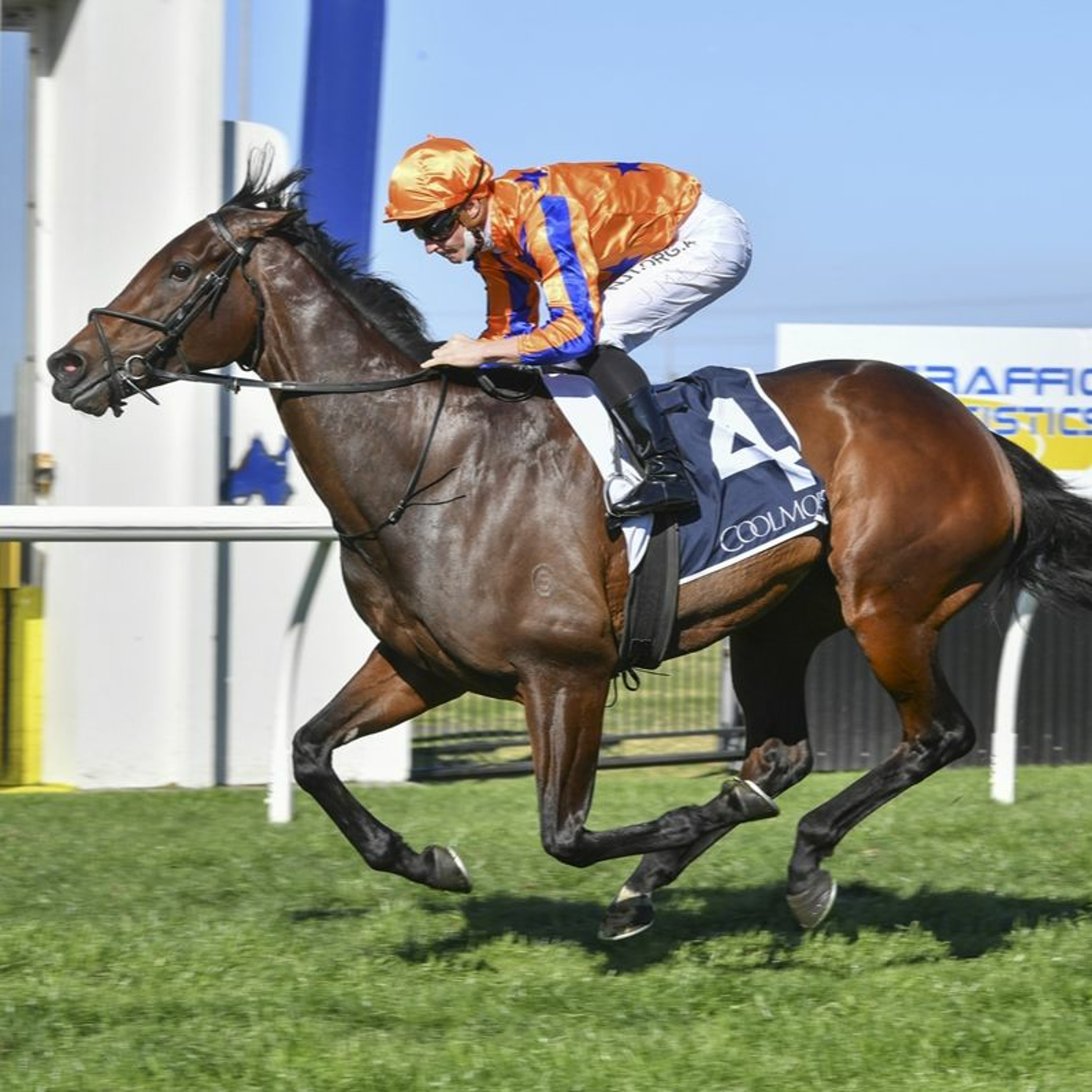 NZ Racing News