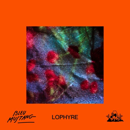 Stream PREMIERE : Bleu Mustang - Lophyre by Les Yeux Orange | Listen online  for free on SoundCloud