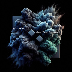 SOLACE (UK) - Cut The Section Up