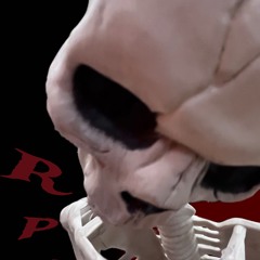 pu2dashow