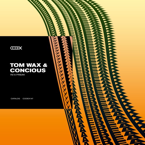 Tom Wax & concious - Untrue (Original Mix)