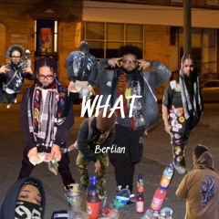 WHAT X BERT X TNG MSTR.m4a