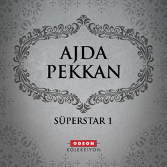 Ajda Pekkan - Anlamadım Gitti (Deejay Senol Aycan & M8 Remix)